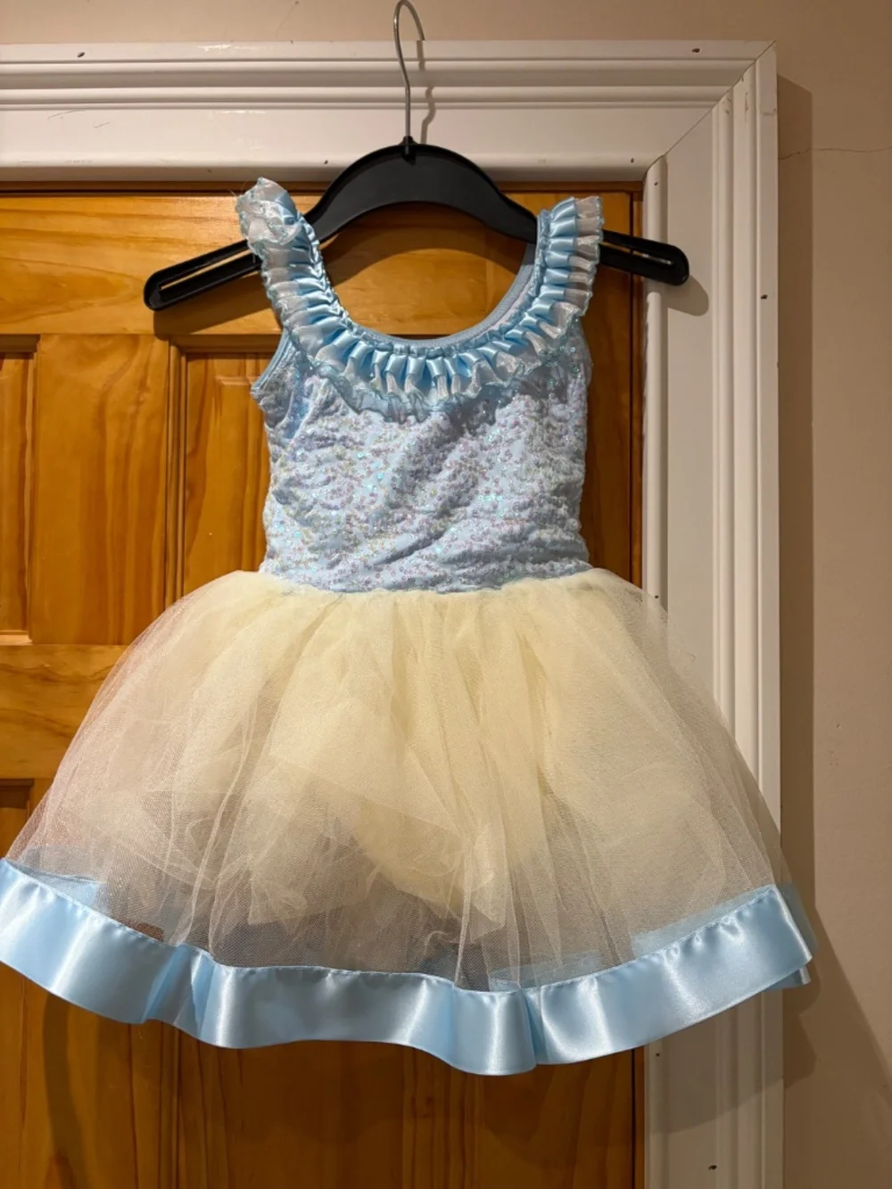Revolution Dancewear Costume size SC with travel bag